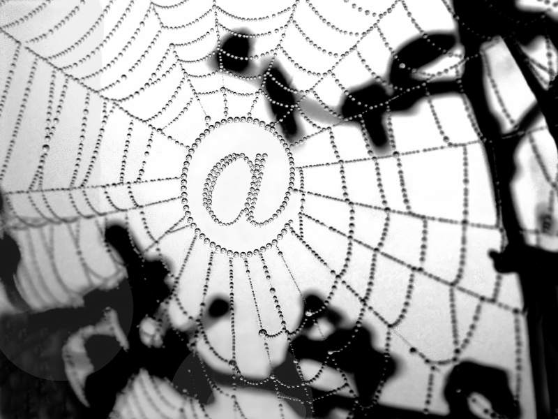 Spinnennetz mit @-Zeichen